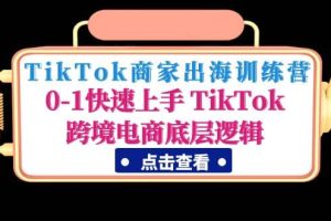 TikTok商家出海训练营：0-1快速上手 TikTok跨境电商底层逻辑(无水印)